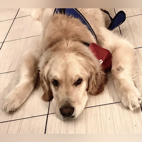 Meet your Posher, Cynthia - Picture 4 of 8